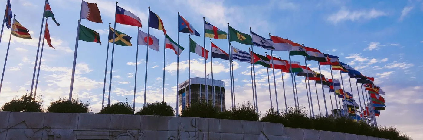 World flags
